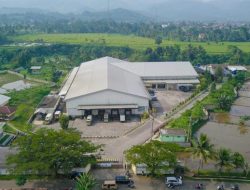 Intip Peternakan Ayam di Cianjur, Pemasok Ayam McDonald’s RI