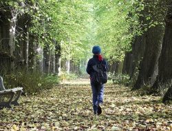Berjalan di Hutan Ternyata Baik Bagi Kesehatan Lho, Berikut Beberapa Manfaatnya