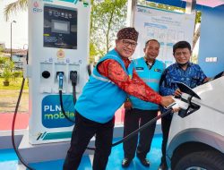 Potensi 437 Megawat Energi Terbarukan Indonesia Dilirik Investor, Salah Satunya Elon Musk