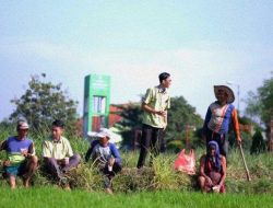 Peringati Hari Krida Pertanian, Taman Zakat Ajak Petani Sidoarjo Berbincang
