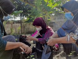 Dua Tahun Uni Eropa dan Hivos Hadapi Dampak Pandemi Covid-19 di Indonesia, Ini Kontribusinya
