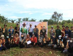 Kolaborasi Unhas, Vestanesia, dan Mahasiswa Bertani Panen Jagung Berkelanjutan di Moncongloe