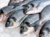 Tingkatkan Angka Konsumsi Ikan, KKP Gelar Pelatihan Diversifikasi Olahan Ikan