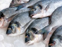 Tingkatkan Angka Konsumsi Ikan, KKP Gelar Pelatihan Diversifikasi Olahan Ikan