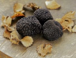 Ini 4 Alasan Kenapa Harga Jamur Truffle Selangit