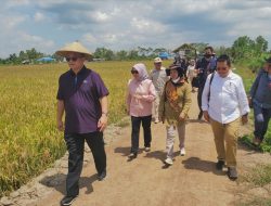 Apresiasi Kemajuan Food Estate Kalteng, Rektor IPB Siap Bersinergi