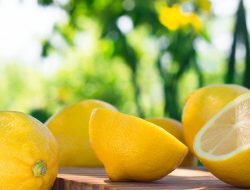 Sering Dijadikan Sebagai Bahan Pembersih, Ini Kandungan yang Dimiliki Lemon