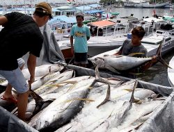 Meski Alami Peningkatan, Ekspor Perikanan Indonesia Masih Kalah dari Vietnam