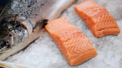 Makan Salmon Mentah Baik untuk Kesehatan, Mitos atau Fakta?