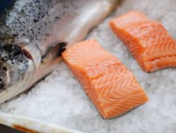 Makan Salmon Mentah Baik untuk Kesehatan, Mitos atau Fakta?