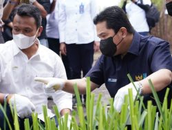 Erick Thohir Siapkan Skema untuk Serap Hasil Produksi Petani