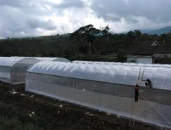 Kementan Terapkan Pertanian Smart Green House di Nganjuk