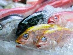 Ini 5 Teknik Mengawetkan Ikan Agar Tetap Segar dan Tahan Lama