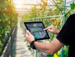Kementan Perkenalkan Pertanian Digital dengan Teknologi Rumah Layar