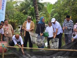 KKP dan DPR RI Bersinergi Kembangkan Budidaya Ikan Air Tawar di Lombok Tengah