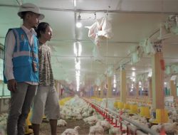 Peternak Ayam di Gowa Manfaatkan Program EA PLN untuk Hemat Biaya Operasional
