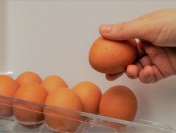 Tips Menyimpan Telur agar Bisa Tahan Lebih Lama