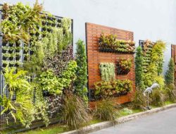 Langkah Membuat Kebun Vertikal di Balkon Rumah