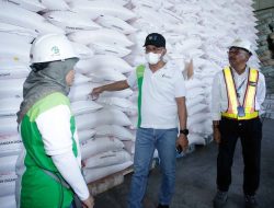 Strategi Pupuk Indonesia dalam Upaya Meningkatkan Produktivitas Pertanian