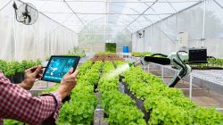 Smart Farming Jadi Solusi Pertanian Masa Depan