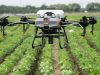 Petani Ciparay Tingkatkan Efisiensi Pertanian Melalui Bantuan Drone Raksasa Semprot Pupuk