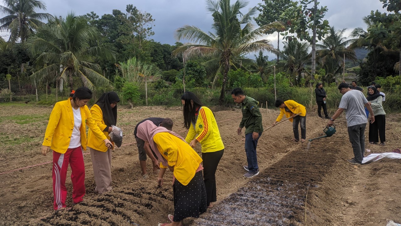 Kegiatan pemanfaatan lahan tidur