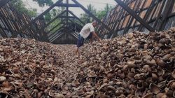 Harga Kopra Hitam di Kendari Melonjak, Petani Diharapkan Maksimalkan Peluang