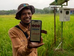 Bank Indonesia Dorong Sumbar Tingkatkan Produksi Padi dengan Teknologi Digital Farming