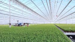 Teknologi Pertanian Cerdas (Smart Farming): Solusi Inovatif untuk Masa Depan Pertanian