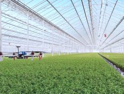 Teknologi Pertanian Cerdas (Smart Farming): Solusi Inovatif untuk Masa Depan Pertanian