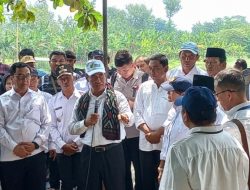 Mentan Tegur Pelaku Industri Singkong: “Jangan Zalimi Petani!”