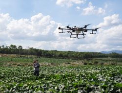 Pemkab Gunung Mas Hadirkan Drone Pertanian untuk Petani Lokal