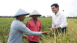 Pertamina EP Raih Penghargaan atas Upaya Memberdayakan Petani Milenial