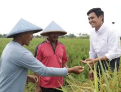 Pertamina EP Raih Penghargaan atas Upaya Memberdayakan Petani Milenial