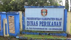 Inovasi Jadi Solusi: Diskan Wajo Dorong Transformasi Usaha Perikanan Lewat GALATIRTA