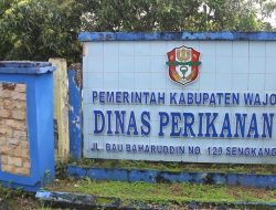Inovasi Jadi Solusi: Diskan Wajo Dorong Transformasi Usaha Perikanan Lewat GALATIRTA