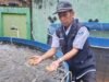 “Banno” jadi Pakan Ikan: Inovasi Ramah Lingkungan dari Keera