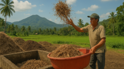 Optimalisasi Pengolahan Limbah Pertanian di Sulawesi Barat: Menjawab Tantangan, Meraih Peluang