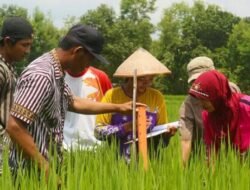 Paradigma Baru dalam Penyuluhan Pertanian Indonesia