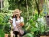 7 Bekal Penting Sebelum Terjun ke Dunia Bisnis Tanaman Hias, Catat!