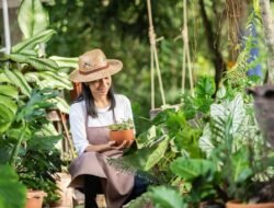 7 Bekal Penting Sebelum Terjun ke Dunia Bisnis Tanaman Hias, Catat!