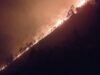 Kronologi Wanita di Humbahas Tewas Terbakar saat Buka Lahan Pertanian di Tepi Hutan