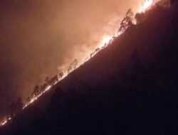 Kronologi Wanita di Humbahas Tewas Terbakar saat Buka Lahan Pertanian di Tepi Hutan