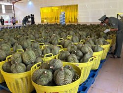 Kamboja mengirimkan pengiriman durian segar pertama ke Tiongkok