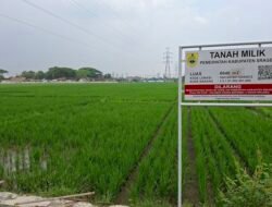 Dalam 5 Tahun, Lahan Pertanian di Jateng Berkurang 62.000 Hektar, Terbesar se-Pulau Jawa