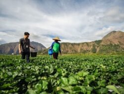 Petani Kami Masih Tidak Siap Menghadapi Cuaca Ekstrem
