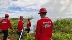 Kebakaran Hutan Mengganas, Petani Mempawah Pelajari Pengelolaan Lahan Tanpa Bakar