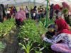 Petrokimia Gresik Buktikan Kemenangan Riset Pertanian, Buncob Buah dan Sayur Hasilkan Panen Besar