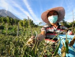 Kisah Mahasiswa Stiper Flores Bajawa Ngada NTT Belajar Pertanian Modern di Israel