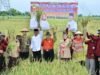 Wagub Fadhlullah Serahkan Alsintan ke Tiga Kabupaten, Dorong Peningkatan Produksi Pertanian